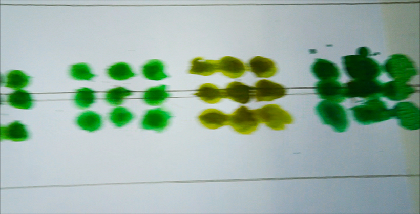 Original photograph of green and ochre painted sequence